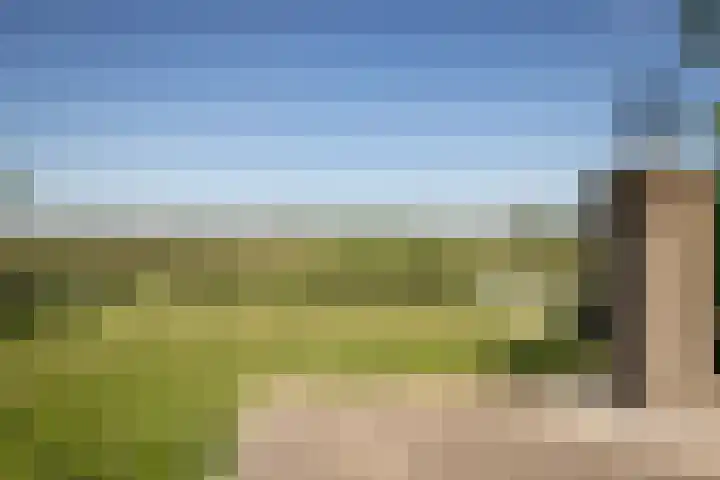 Elbaweg 8 Hem thumbnail 25