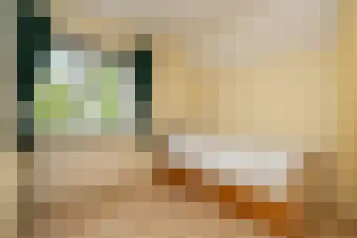 Elbaweg 8 Hem thumbnail 26