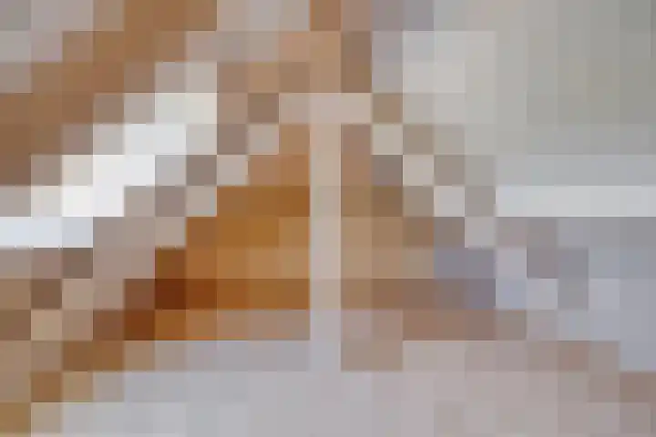 Elbaweg 8 Hem thumbnail 30