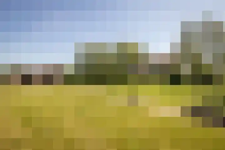 Elbaweg 8 Hem thumbnail 31