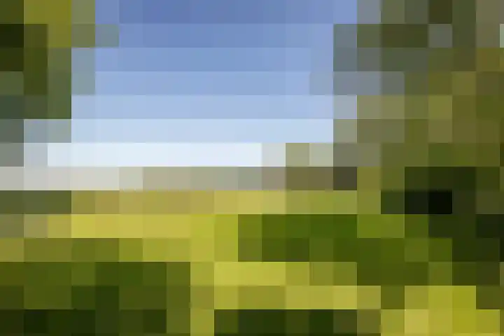 Elbaweg 8 Hem thumbnail 32