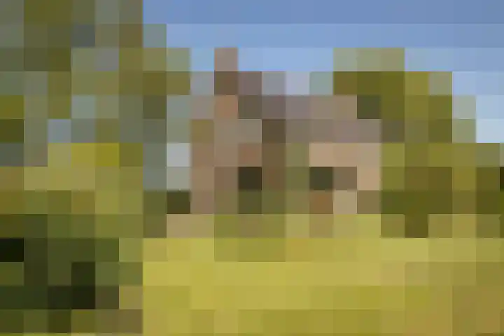 Elbaweg 8 Hem thumbnail 33