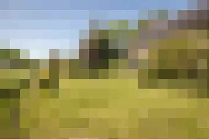 Elbaweg 8 Hem thumbnail 34