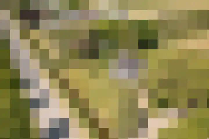 Elbaweg 8 Hem thumbnail 36