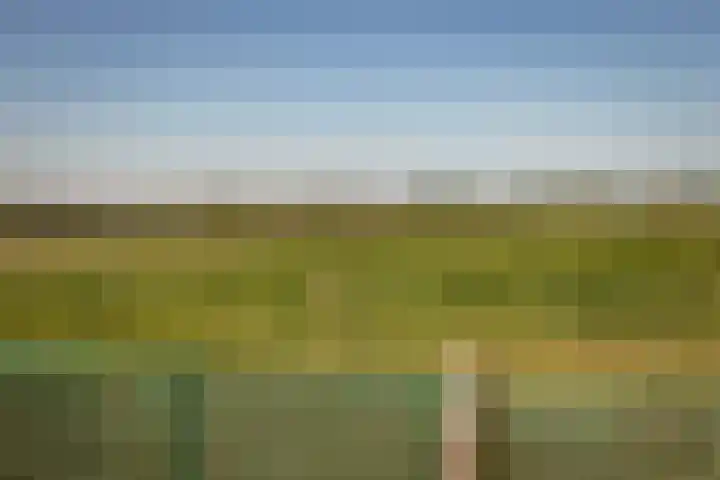 Elbaweg 8 Hem thumbnail 37