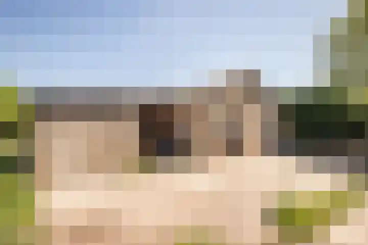 Elbaweg 8 Hem thumbnail 38