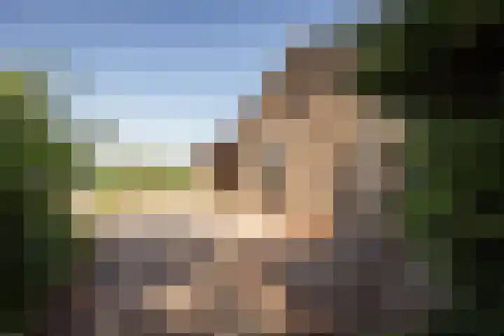 Elbaweg 8 Hem thumbnail 39