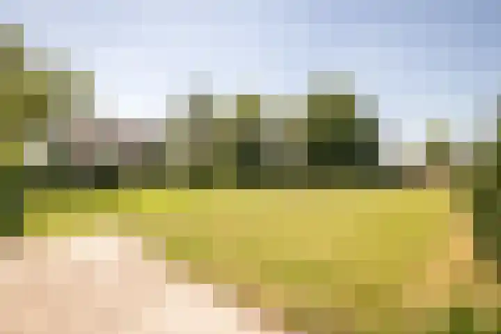 Elbaweg 8 Hem thumbnail 4