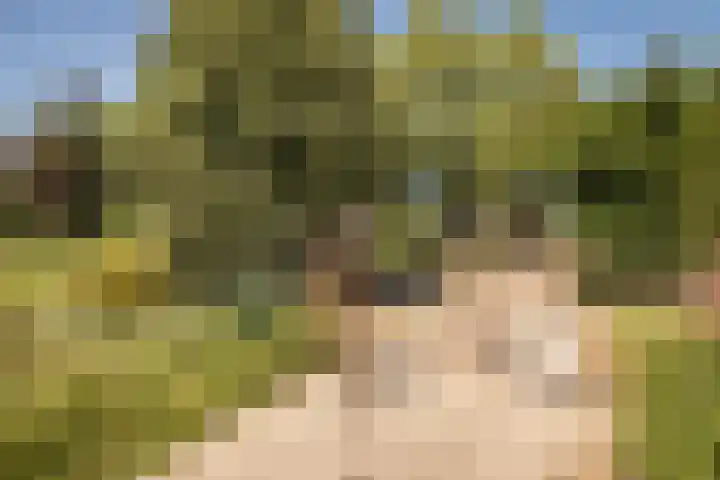 Elbaweg 8 Hem thumbnail 43