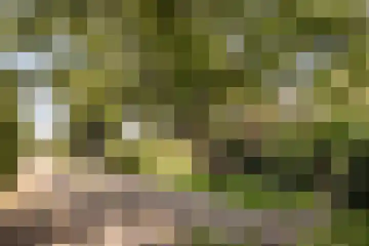 Elbaweg 8 Hem thumbnail 44
