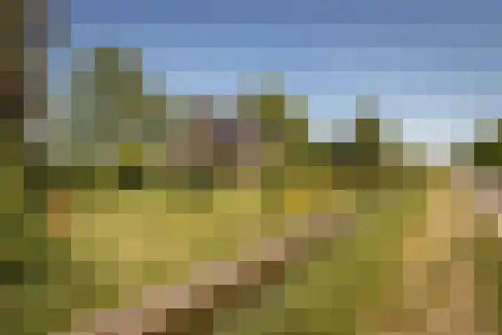 Elbaweg 8 Hem thumbnail 45