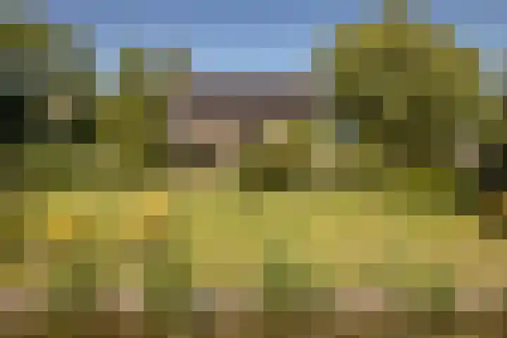 Elbaweg 8 Hem thumbnail 46