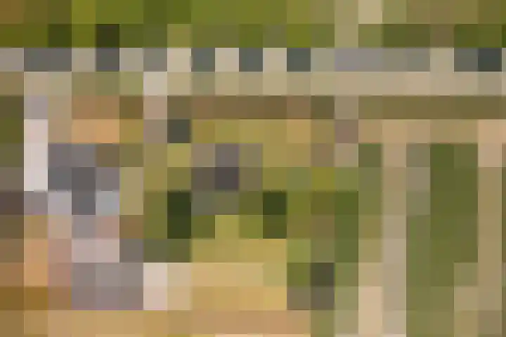 Elbaweg 8 Hem thumbnail 48