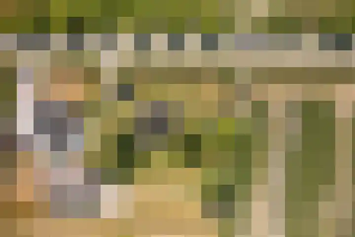 Elbaweg 8 Hem thumbnail 49