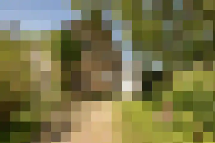 Elbaweg 8 Hem thumbnail 5