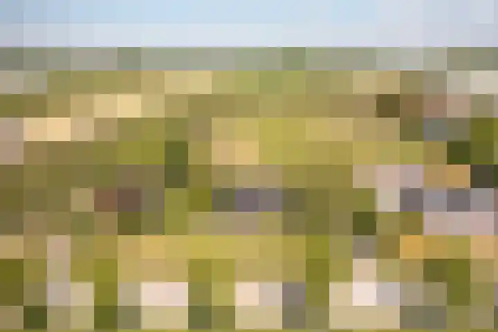 Elbaweg 8 Hem thumbnail 50