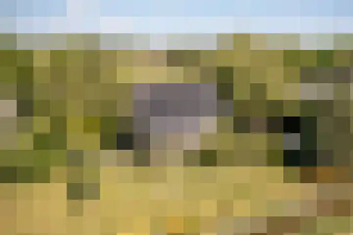 Elbaweg 8 Hem thumbnail 51