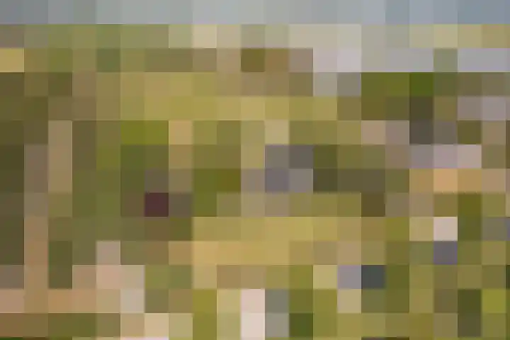 Elbaweg 8 Hem thumbnail 52