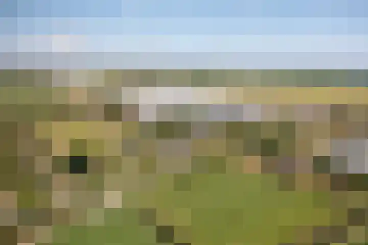 Elbaweg 8 Hem thumbnail 53
