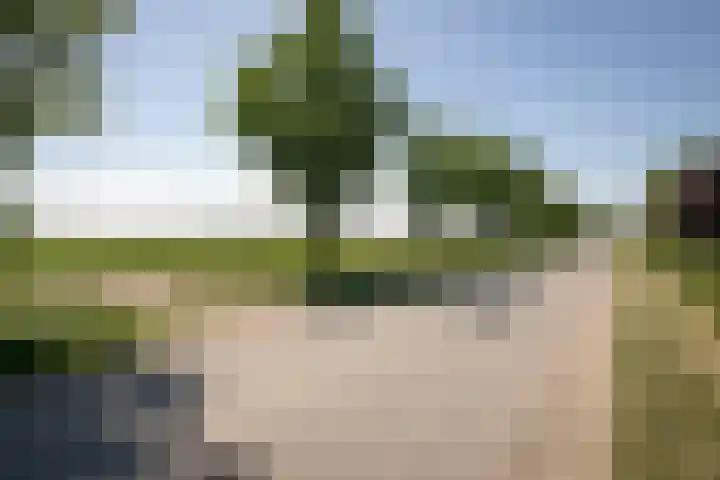 Elbaweg 8 Hem thumbnail 54