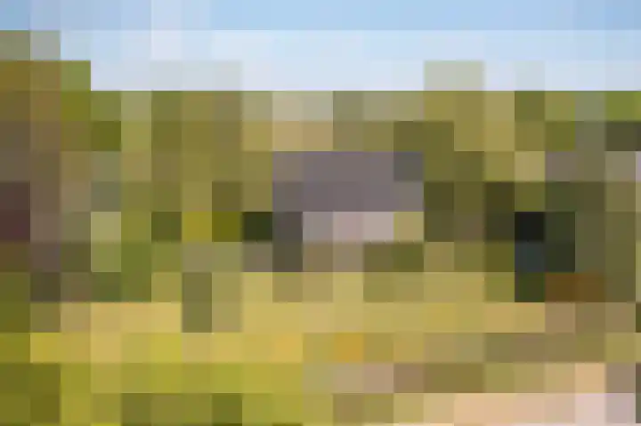 Elbaweg 8 Hem thumbnail 69
