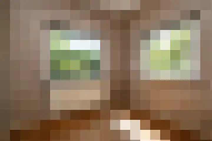 Elbaweg 8 Hem thumbnail 7