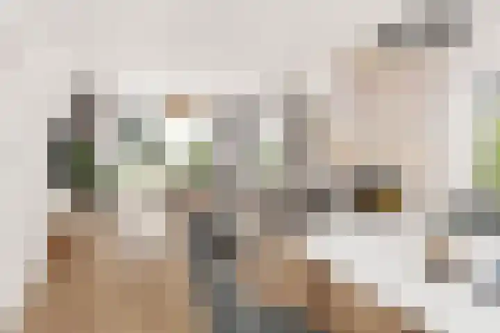 Elbaweg 8 Hem thumbnail 8