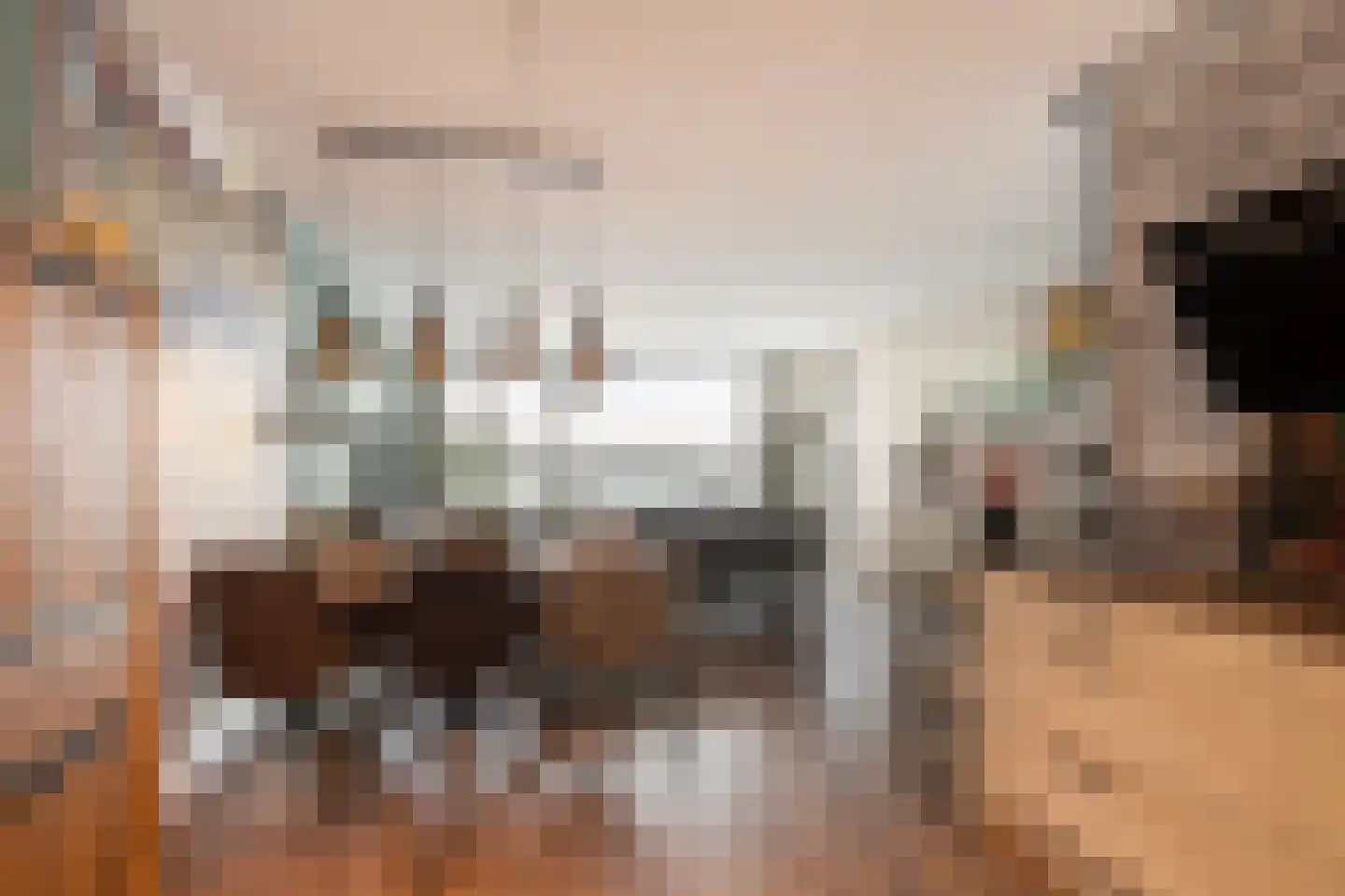 Elbe 122 Maassluis thumbnail 21