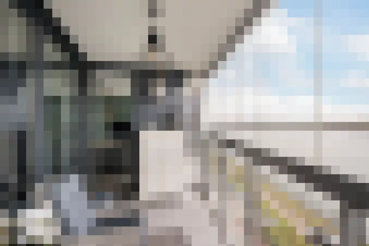 Elbe 122 Maassluis thumbnail 24
