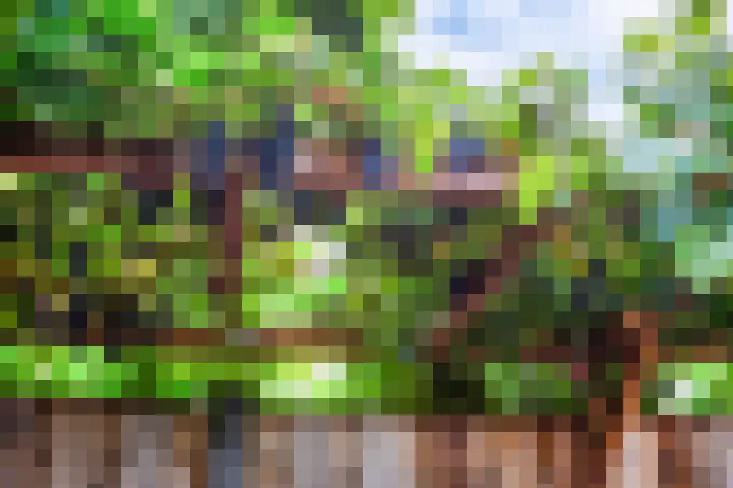 Elbe 21 Maassluis thumbnail 27