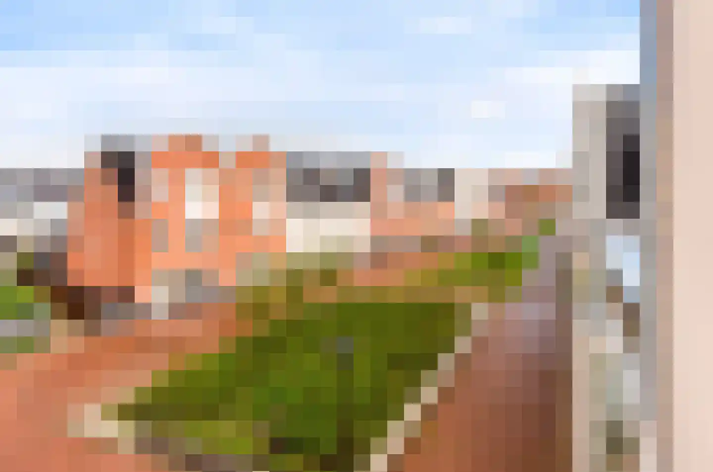 Elbe 21 Maassluis thumbnail 35