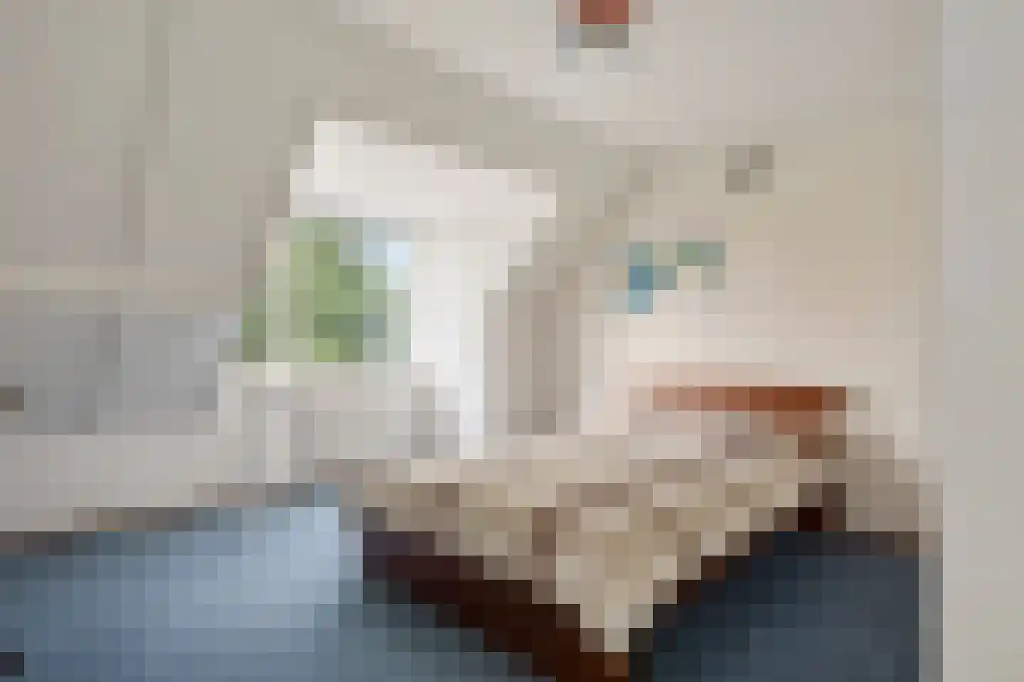 Elbe 3 Nieuwerkerk aan den IJssel thumbnail 60