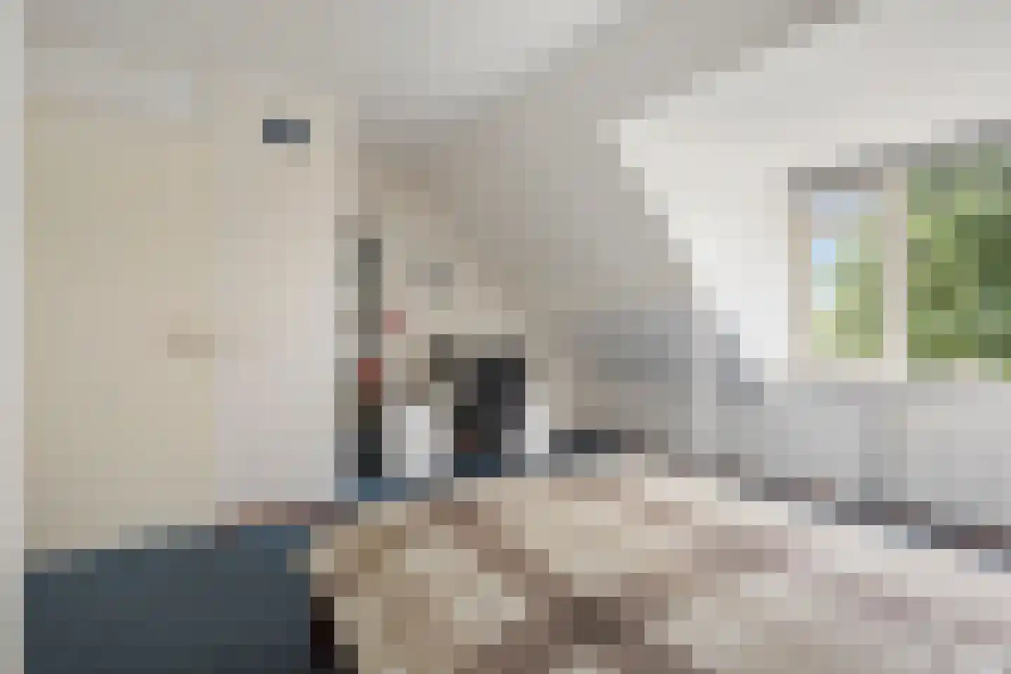Elbe 3 Nieuwerkerk aan den IJssel thumbnail 61