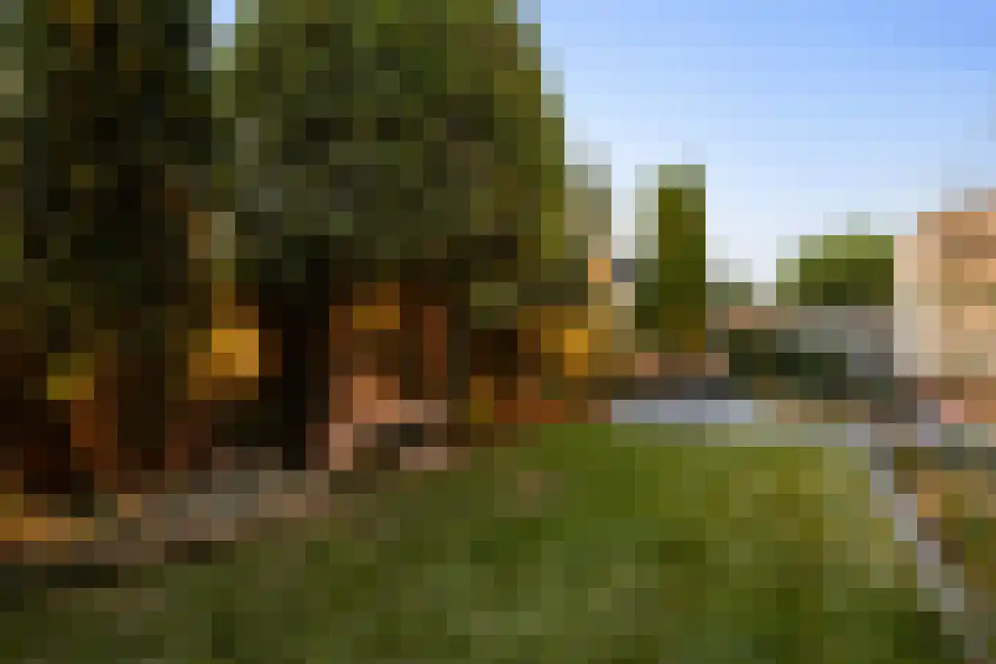 Elbe 3 Nieuwerkerk aan den IJssel thumbnail 94