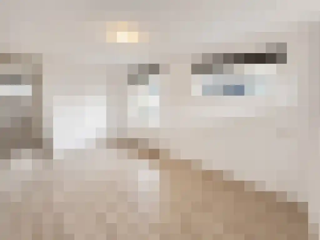 Elbe 31 Nieuwerkerk aan den IJssel thumbnail 6