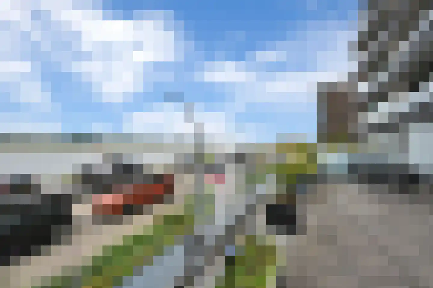 Elbe 46 Maassluis thumbnail 6