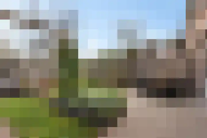 Elbelaan 22 Son en Breugel thumbnail 37