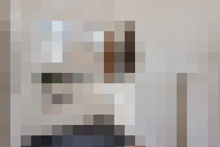 Elbelaan 22 Son en Breugel thumbnail 4