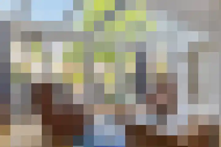 Elbeplantsoen 19 Helmond thumbnail 16