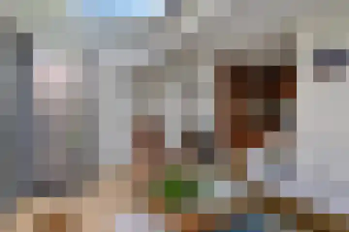 Elbeplantsoen 19 Helmond thumbnail 18
