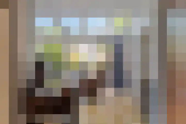 Elbeplantsoen 19 Helmond thumbnail 20