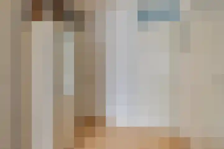 Elbeplantsoen 19 Helmond thumbnail 22