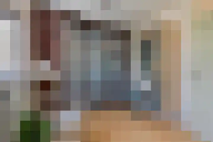 Elbeplantsoen 19 Helmond thumbnail 23