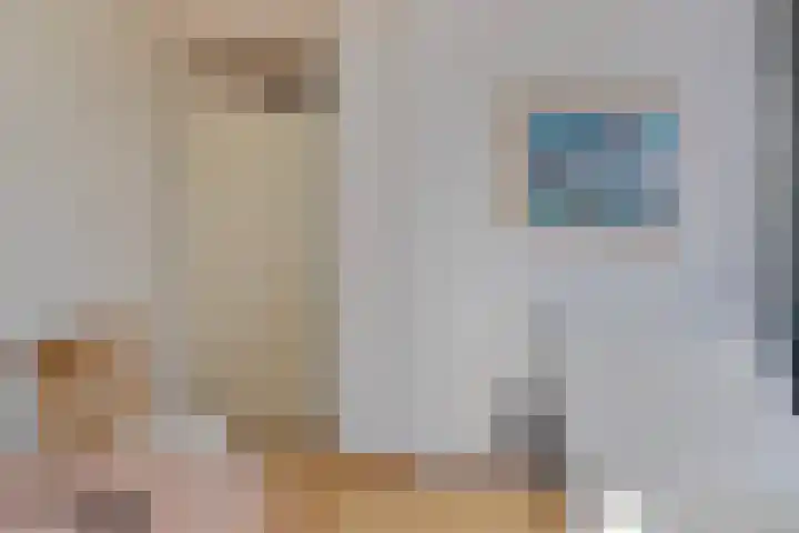 Elbeplantsoen 19 Helmond thumbnail 26