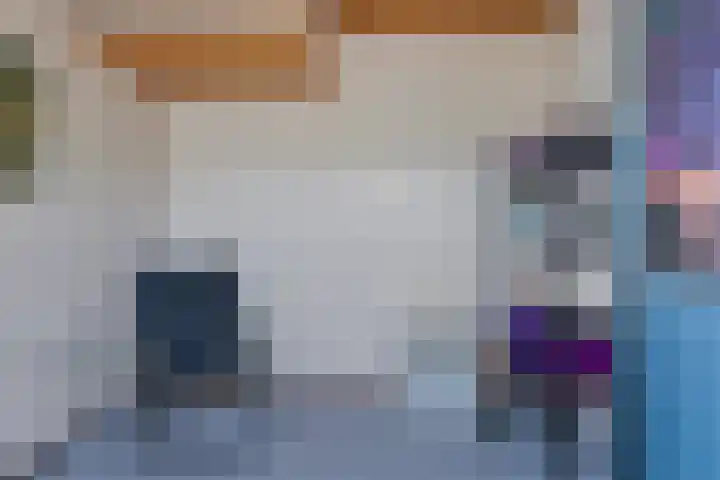 Elbeplantsoen 19 Helmond thumbnail 31