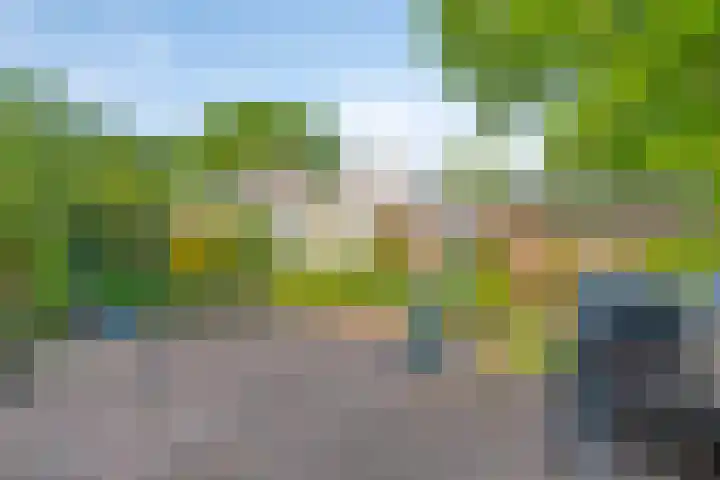 Elbeplantsoen 19 Helmond thumbnail 33