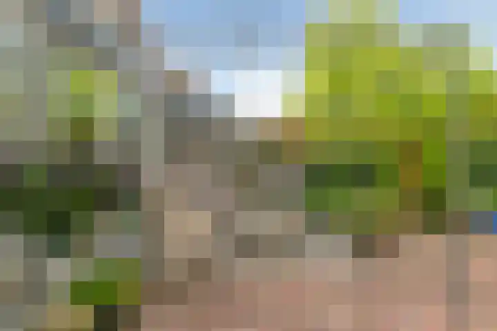 Elbeplantsoen 19 Helmond thumbnail 34