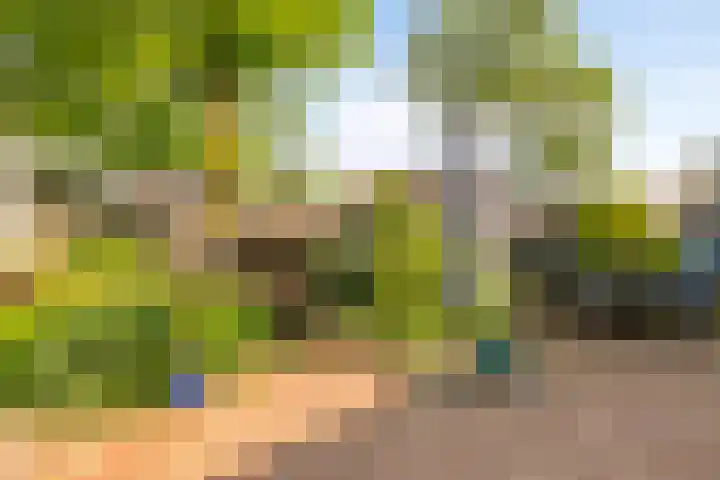 Elbeplantsoen 19 Helmond thumbnail 35