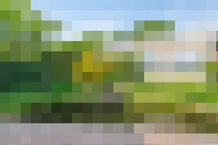 Elbeplantsoen 19 Helmond thumbnail 36