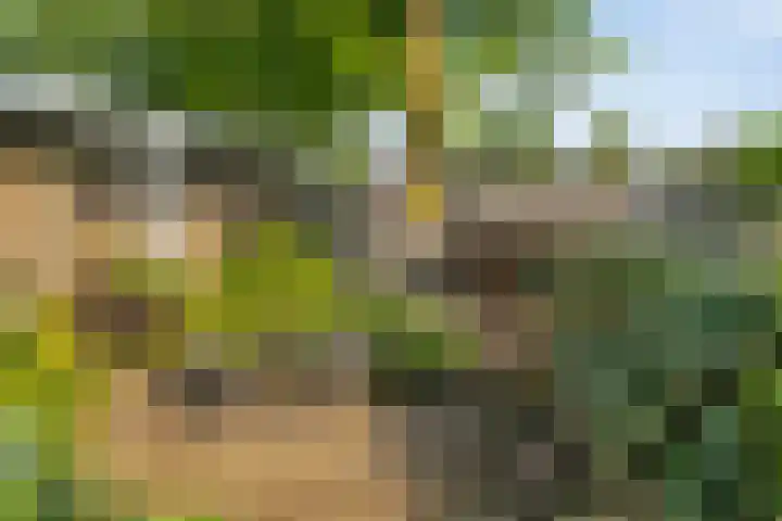 Elbeplantsoen 19 Helmond thumbnail 37